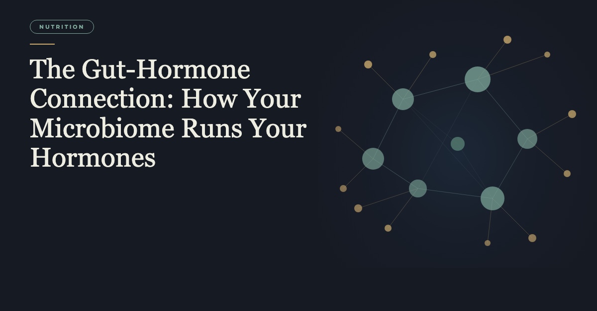 Gut microbiome and hormone connection